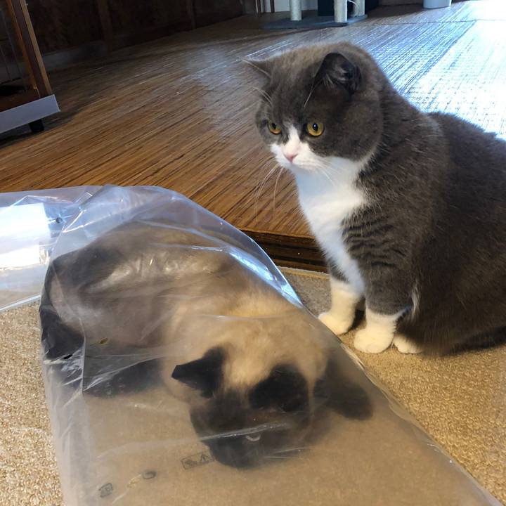 Fad53e32 c8b5 4556 b0e4 55016eca1c2e 1621730604475