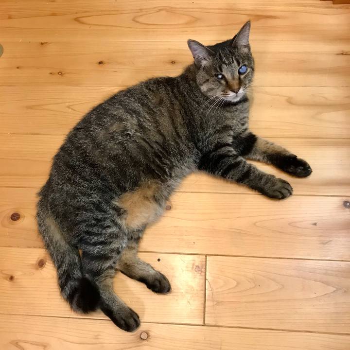 Fad599fe 3a7b 4932 9724 414d8eaae90b 1626484742834