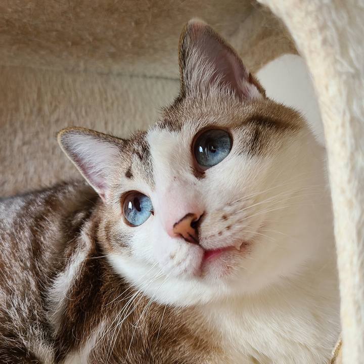 Fad61440 1187 4495 8b7a 95a6d6de2221 1669785043380