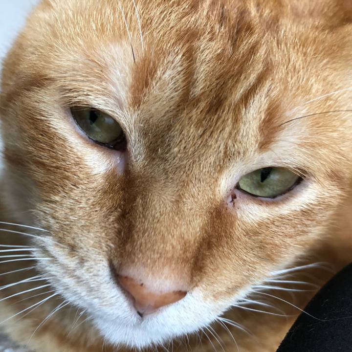 Fad61808 4fda 475e 8b83 10666ef92b46 1593264503666