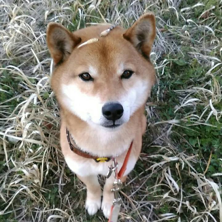 Fad64d55 0b1c 415e a665 2f29348562ef 1552471489131