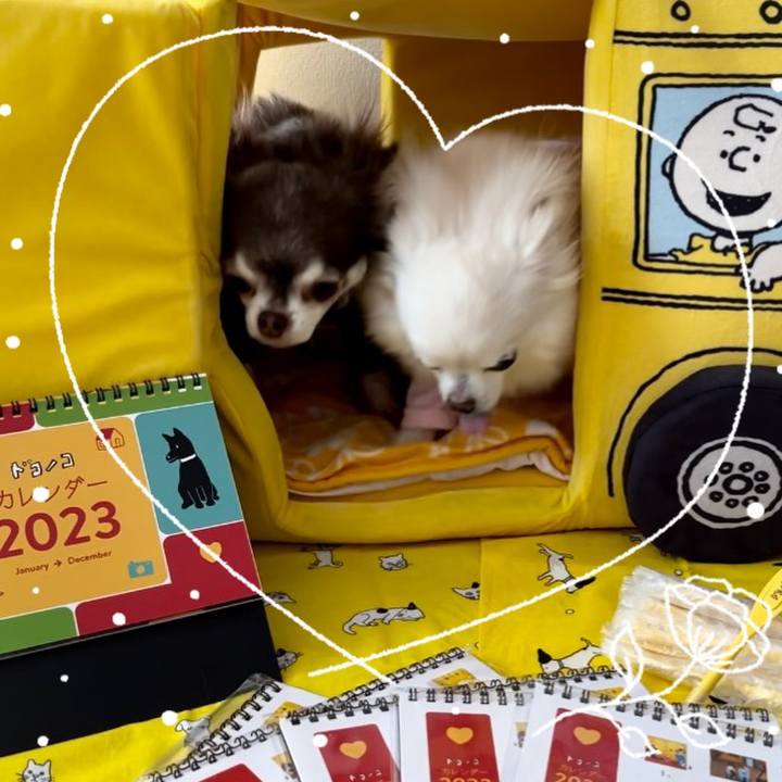 Fad7375a e3b5 4090 a768 ab2cfdcbd4e3 1668655248829