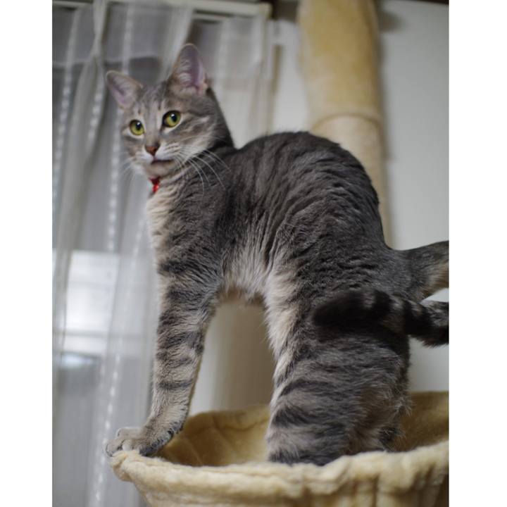 Fad73e2b a9ac 4b5c 89ce e72f8e4dfbad 1545811961924