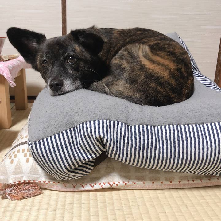 Fad753b3 992f 4c9e 93e7 5a8aee71ffec 1571147207158