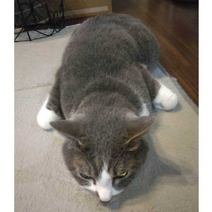 Fad7efc9 761c 48c4 a510 8806158e1d06 1680783036092