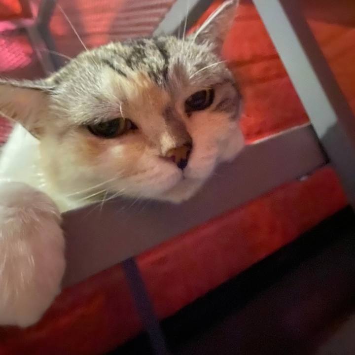 Fad8150f 5f1d 46ec 9136 036fdcf5dffb 1627763050776