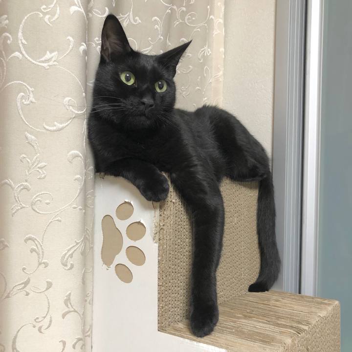 Fad8353e 77c4 4d2f b2a7 46ad1348b4ca 1601464678183