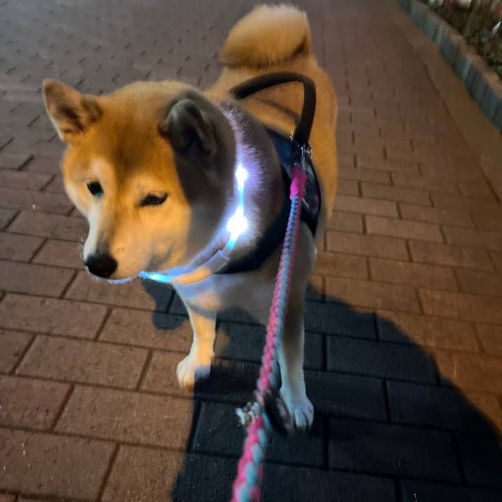 Fad874e7 36b7 4939 ad02 024d34f55827 1701341779283