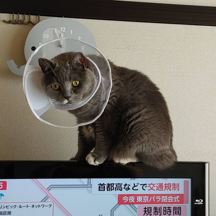 Fad87f48 9916 4668 b937 8d7e1af7ee15 1630810913705