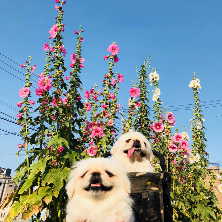 Fad882ab 7f70 4295 adfd 11d901813c21 1559787120607