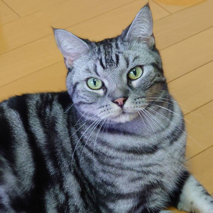 Fad8db7a ed93 491a a4a8 f6b675028f9b 1630458462639