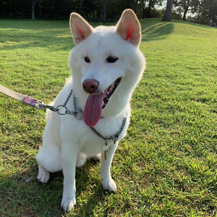 Fad9005e 93af 4f7c b06e c8b4dbce6577 1568506576650