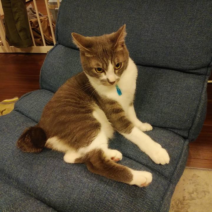 Fad9110e 92ee 4931 9d69 e8ed410f5751 1589984811775