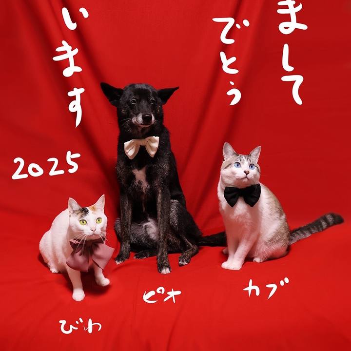 Fad9142d f5e1 4f5b a06b a27832678a71 1735696074755