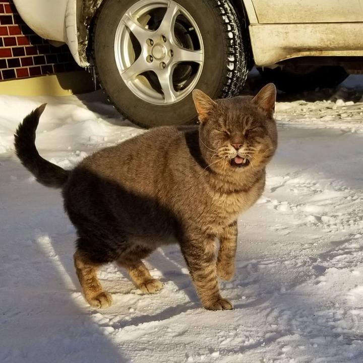 Fad94333 b2f1 414d b11c 24e779b0e162 1549021515096