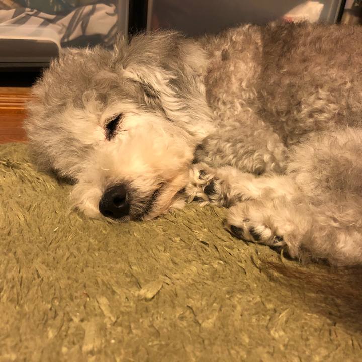 Fad94340 b449 4697 8603 740d7b330593 1537313443445