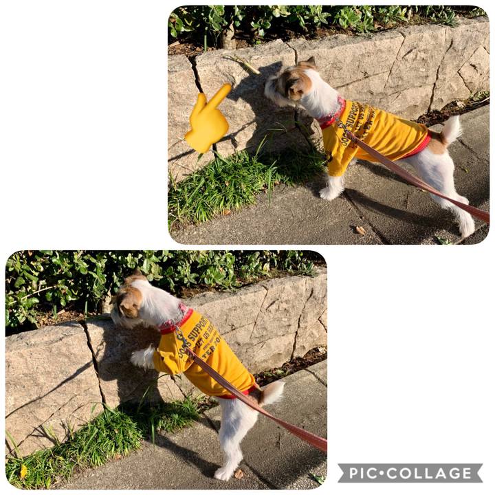 Fad954f0 94b9 4ae8 9bed 1ebef889ab27 1603269229010