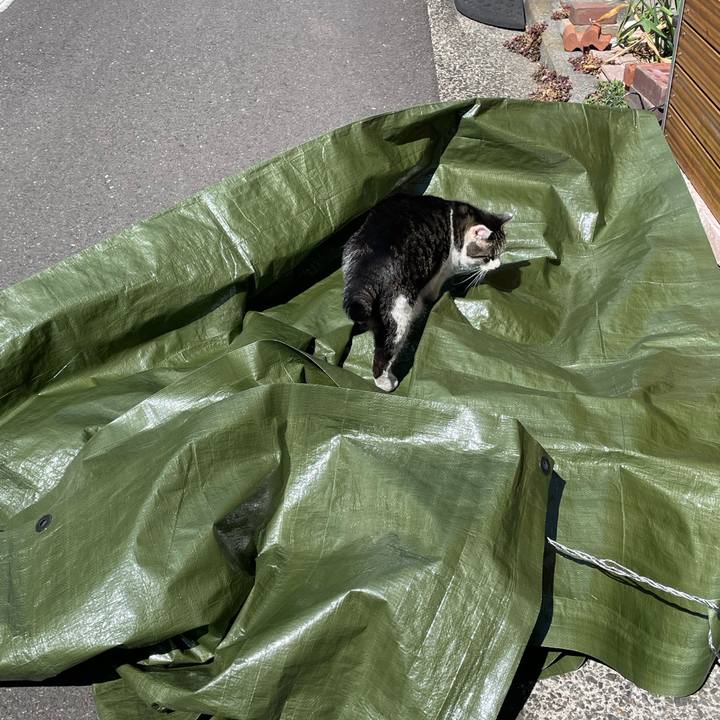 Fad95515 cd64 4291 8d32 26ba8099f80d 1646641982317