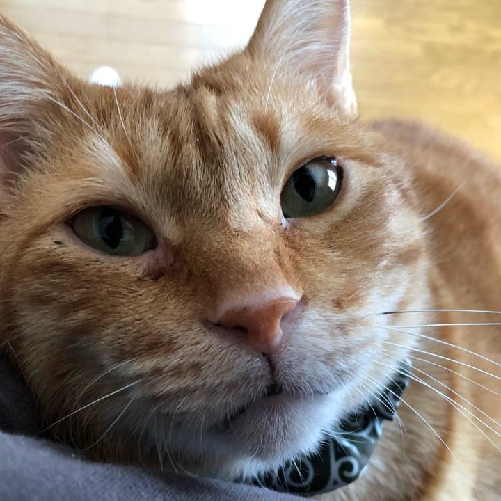 Fad964c2 0629 423e b1ea 9fff973b5cb7 1614985783511