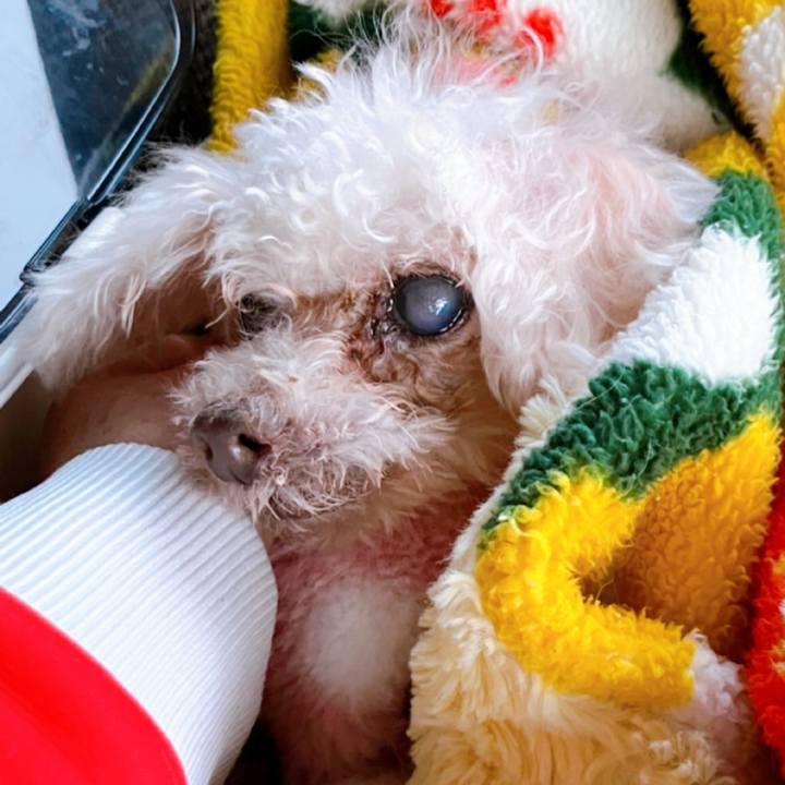 Fad9ae58 aa0f 4deb a54f ce621fdf4ed3 1772538770683