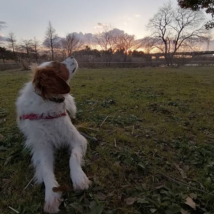 Fad9ebf4 021a 40a3 a240 8f50e51464b7 1578913844163