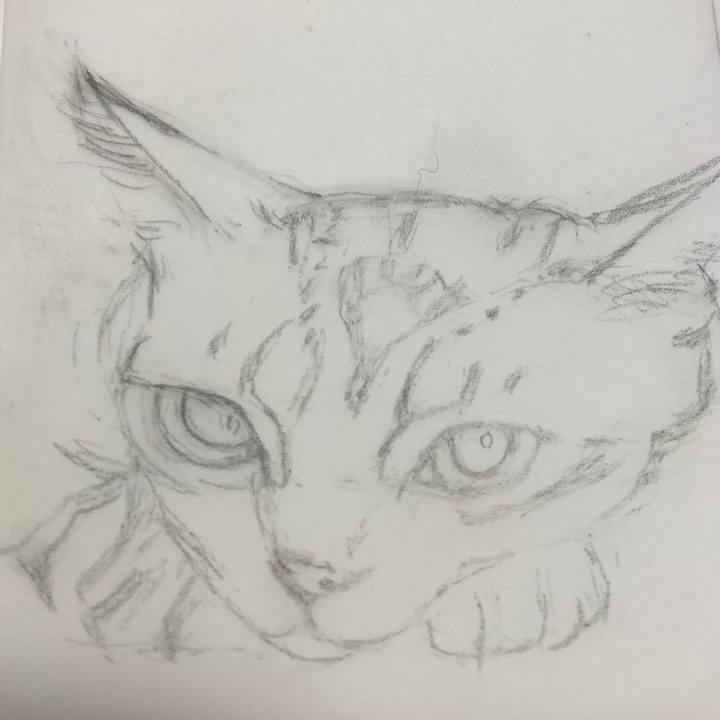 Fada0e89 c112 47aa a899 1ae8b220b613 1673565797207