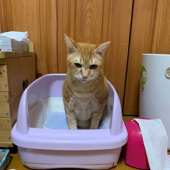 Fada0f6f 9d86 415d 89a4 115953787ee4 1598532041193