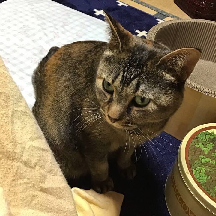 Fada35c3 2cb2 4e25 8a69 bfa8b0ebad94 1736504141807