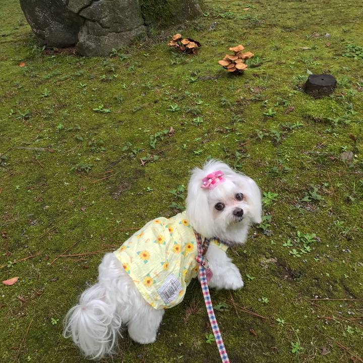 Fada66ab 5ba0 42b1 b944 0d743c4f656e 1594607436528