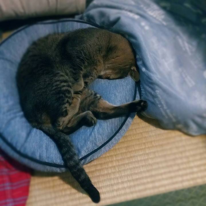 Fada7fc9 f15a 4cca b861 8d8dde288422 1562821244221