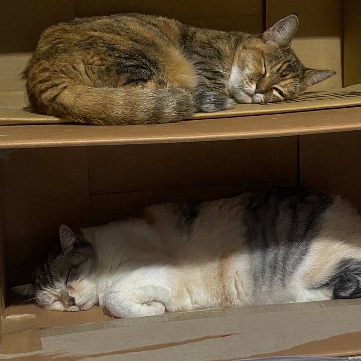 Fadaaee6 eb13 4912 aa21 d34b4aaaa3dc 1725686564980