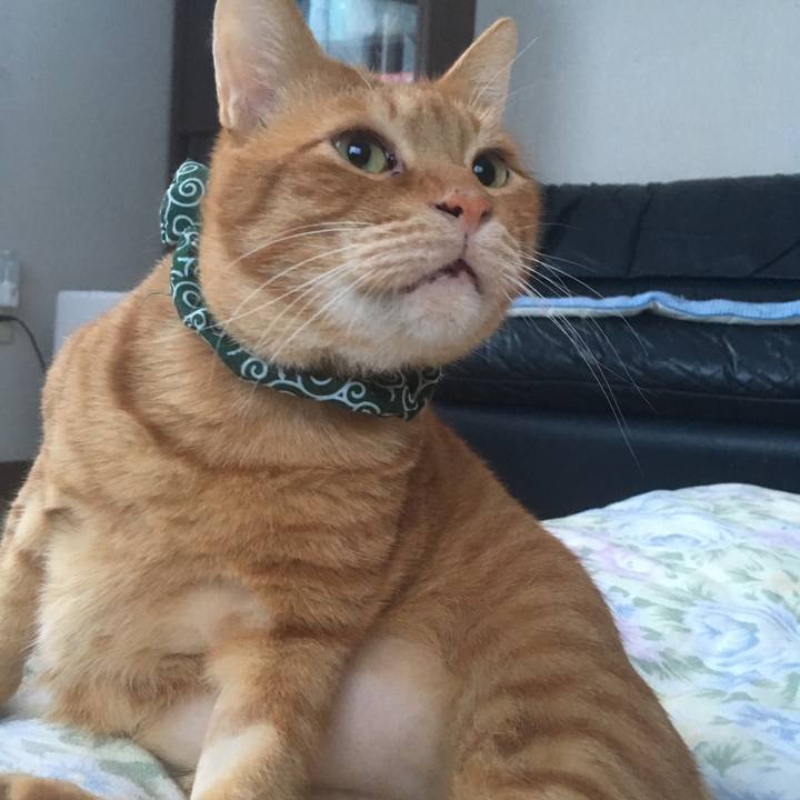 Fadac164 c219 4374 8369 f01cf60bf019 1545951307594