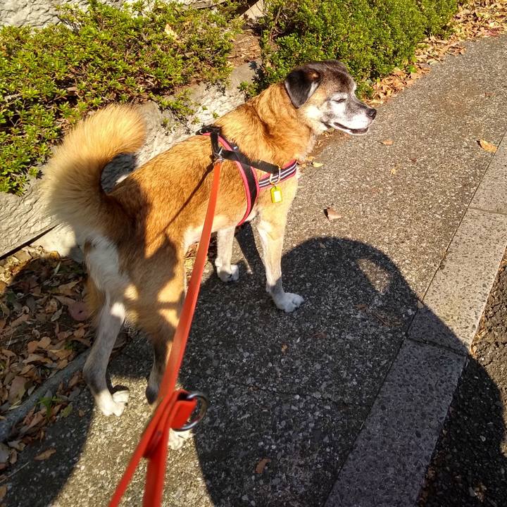 Fadae850 5ccc 4d14 8bef 8f7ec3ded73c 1573277629348