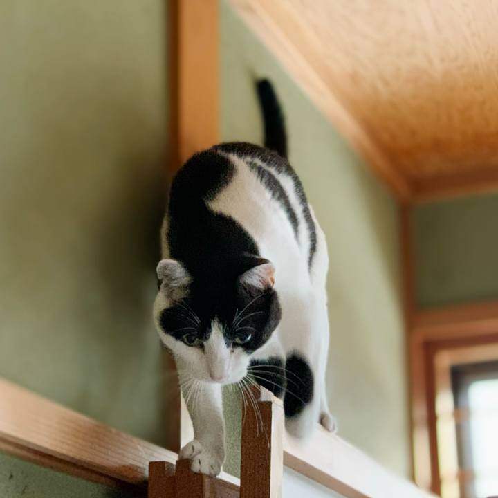 Fadb4c45 2b57 419b 828f 4482bc0844e4 1599186887173