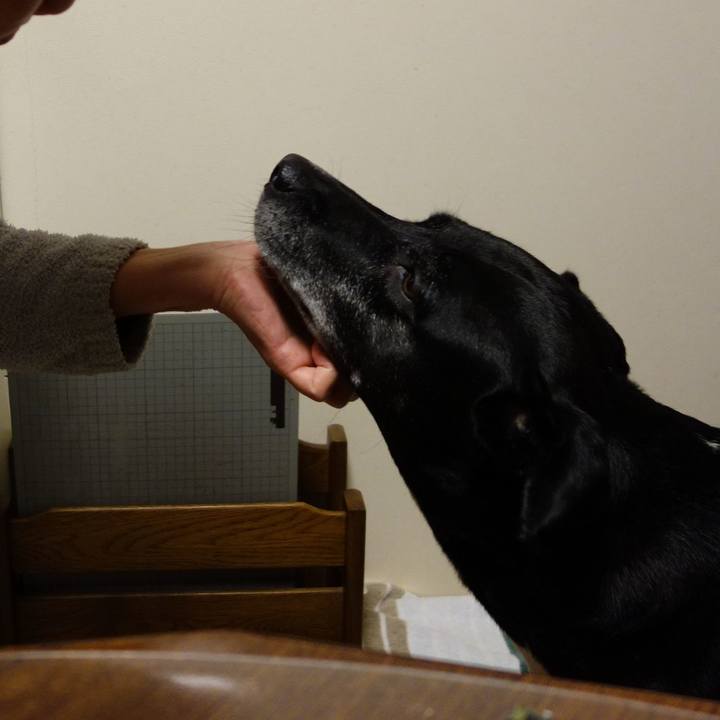 Fadb63b4 1854 4e6e a5e0 7cdf10e9260e 1731669314368