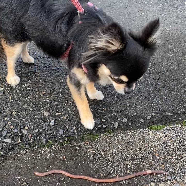 Fadb8ba7 11c0 4f6e 86e9 806345e14f9f 1625787994097