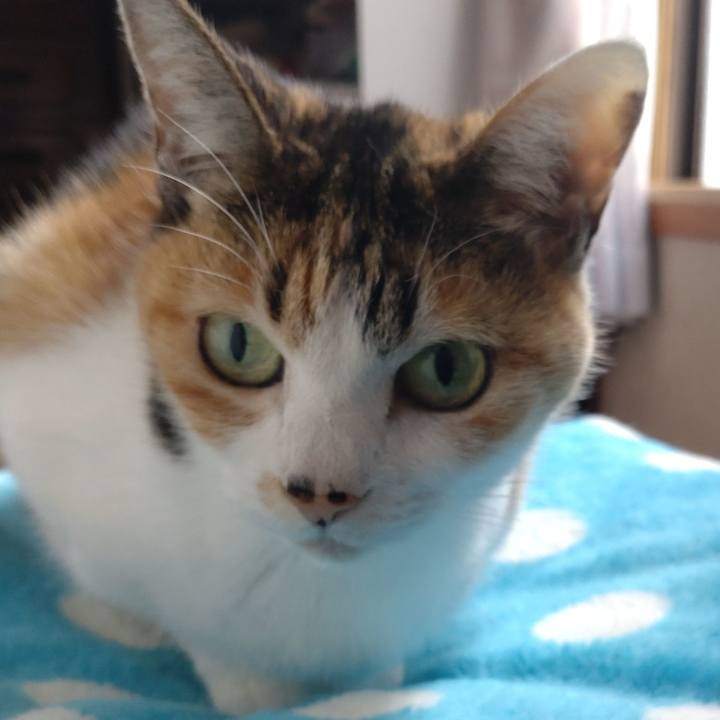 Fadbabff e5e7 4291 8b08 014122cdc51d 1666408708284