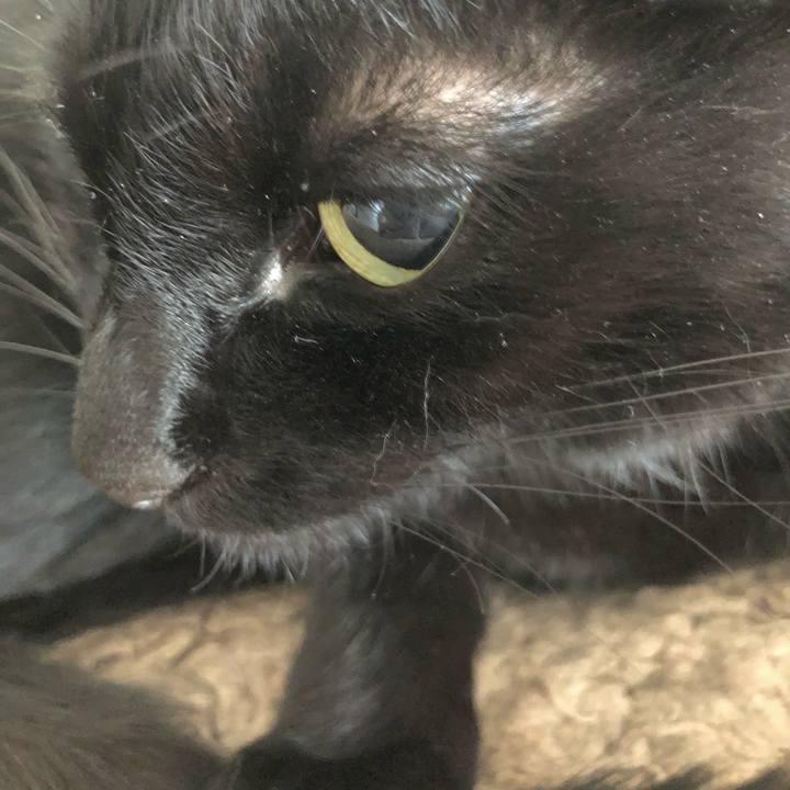 Fadc08d2 60a8 4c0e 87cd 59d1b760f228 1628917775418