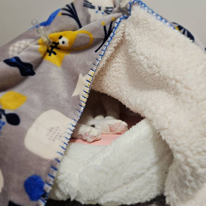 Fadc156d ae72 4059 8502 fcae3e0dbdfe 1768285805593