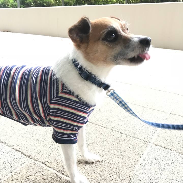 Fadc53cf 599d 4254 9a02 78919fa9c480 1528588369488