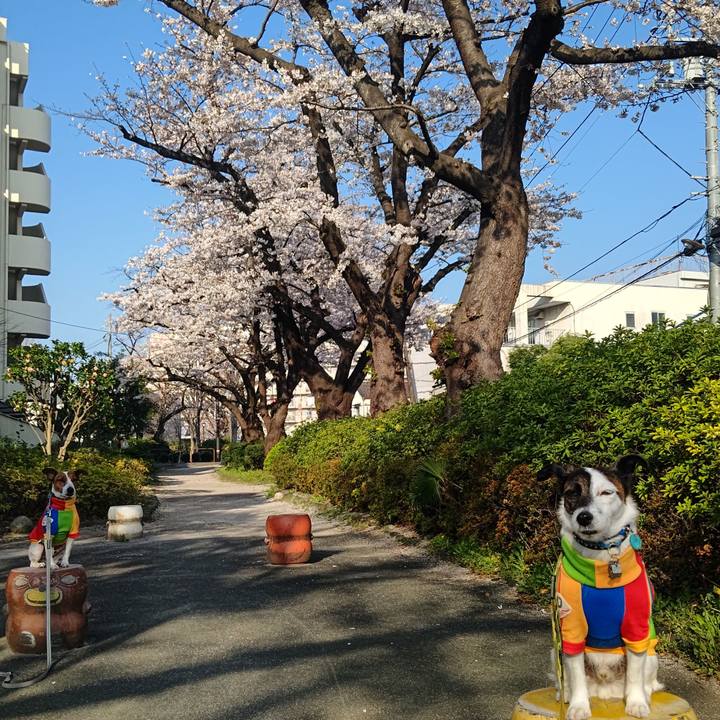 Fadc716f 8d42 4a96 b726 7d3717e8ce6f 1679438464883