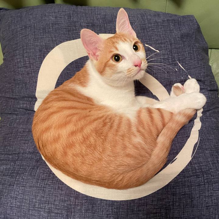 Fadcbdaa 5916 465b b846 591b0ba9412a 1702972890266