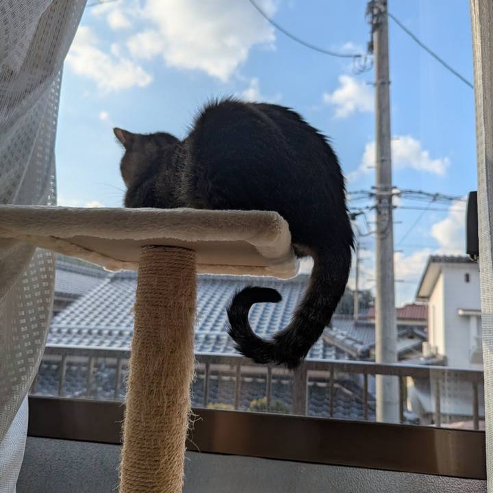 Fadcfad8 a122 4118 b98a a805c121ed8e 1740457321540