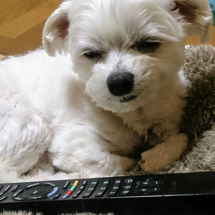 Fadd4131 3fad 469b b8d6 95ff4ab34b0c 1521716530544