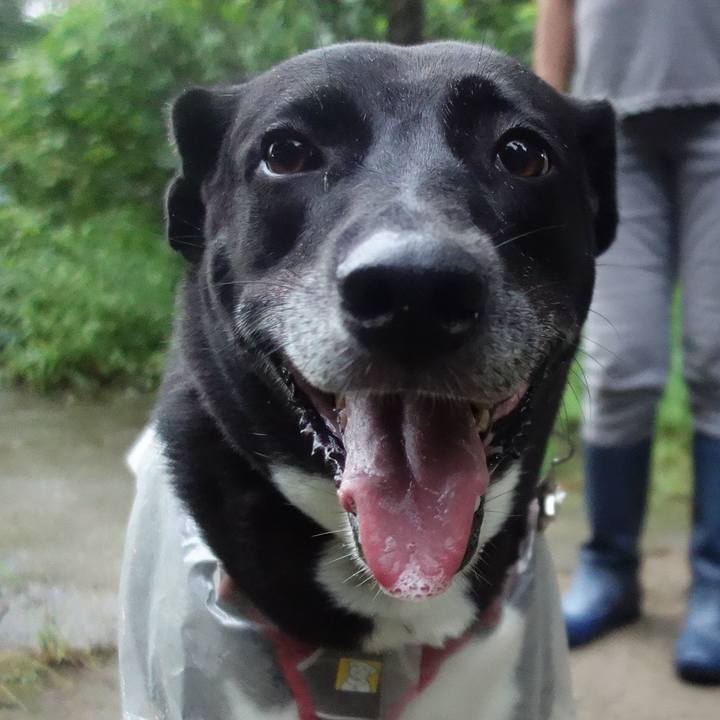 Fadd4338 e306 4cd9 94fe 01da0d7040a1 1663976404987