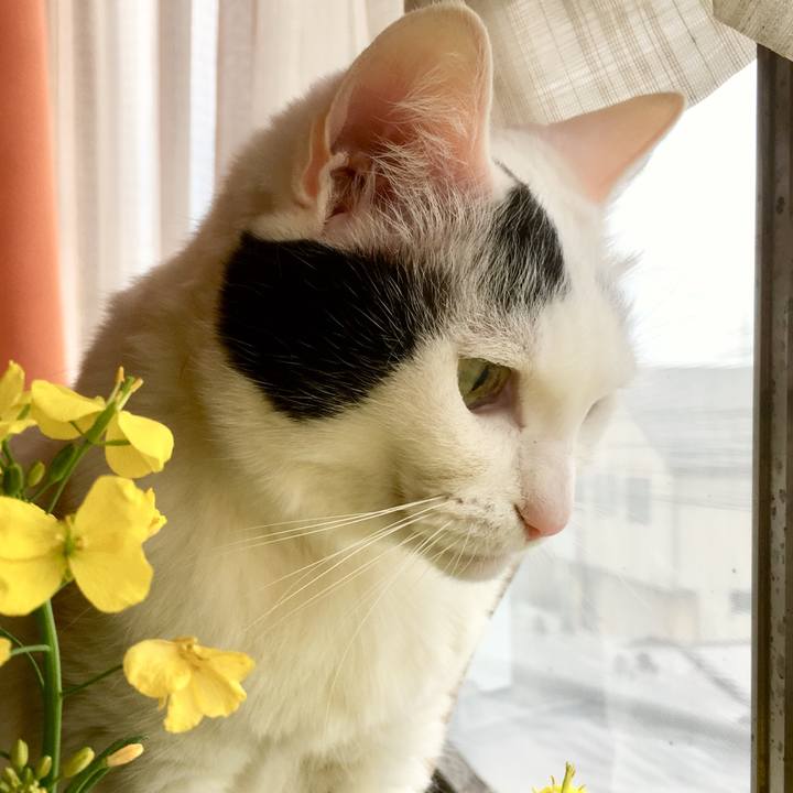 Faddc1b2 1600 4904 8d8b 80905bfc99a7 1556142205422