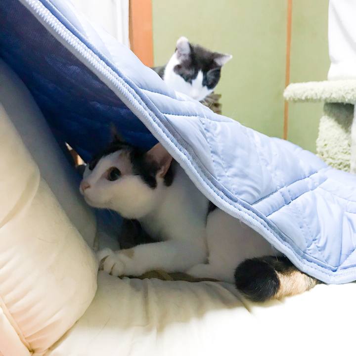 Fadddbcc f3dd 4aa4 8155 91071b36a2c0 1529420216936