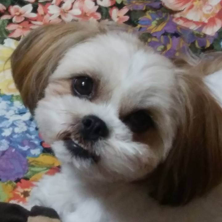 Fade64dc ee98 47e6 a9d3 0630d570f8ab 1558353697858