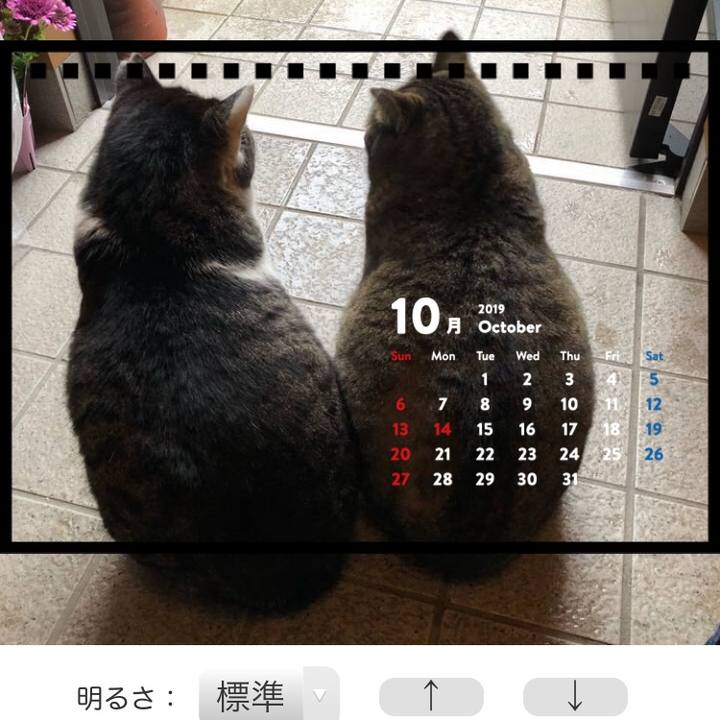 Fade6da4 ecbd 471e bbf3 c59f155f047d 1542622992161