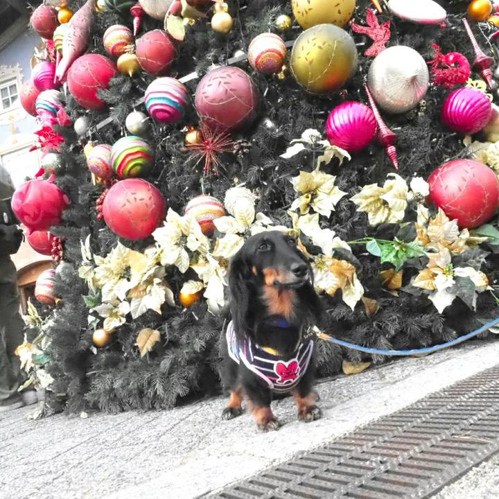 Fade7f5a e585 4ec6 b00b dd062d4be808 1542606080936